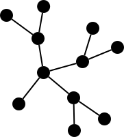 Network Model